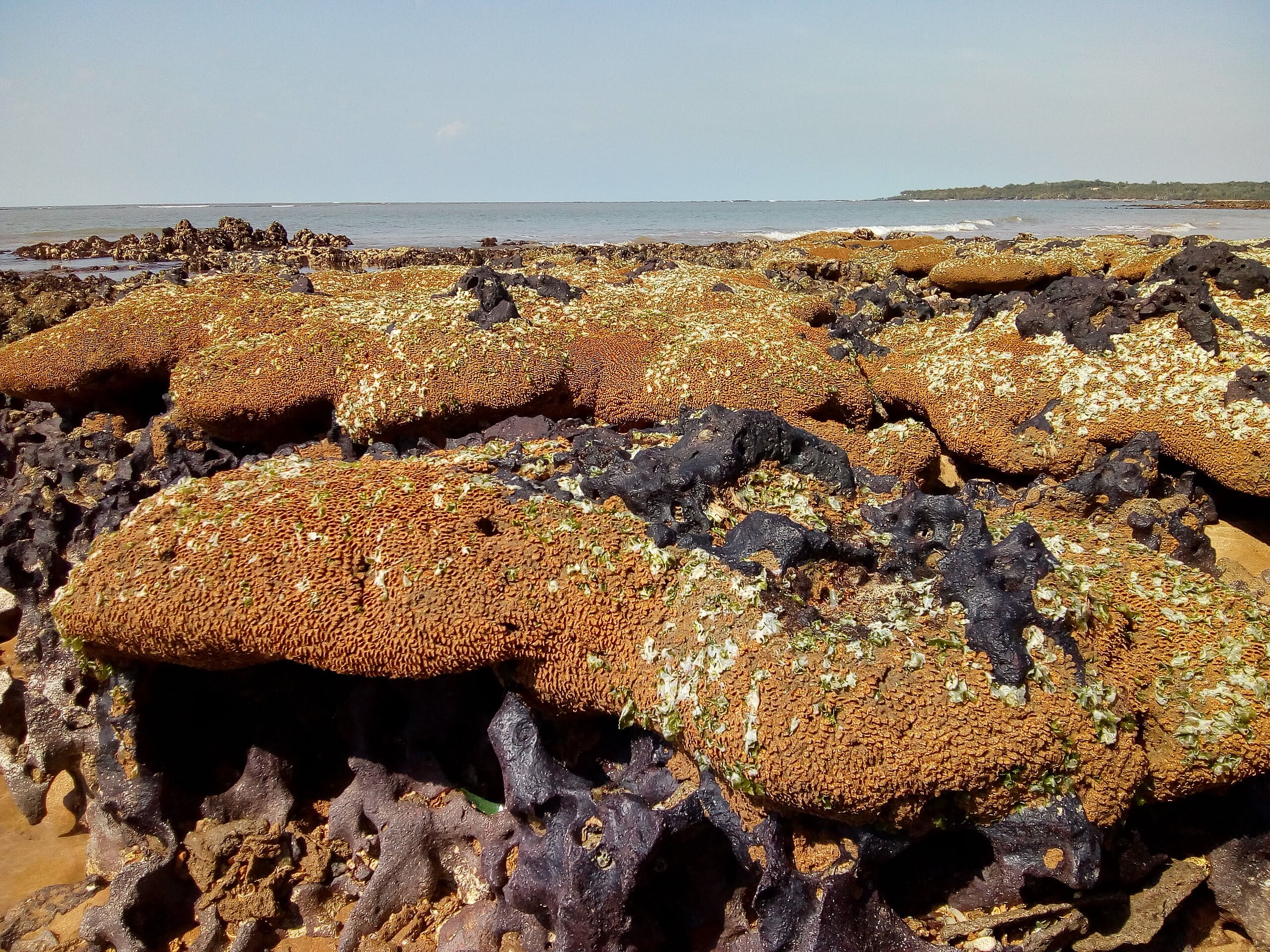 Mining companies use legal loopholes to move forward without environmental licensing off the ...