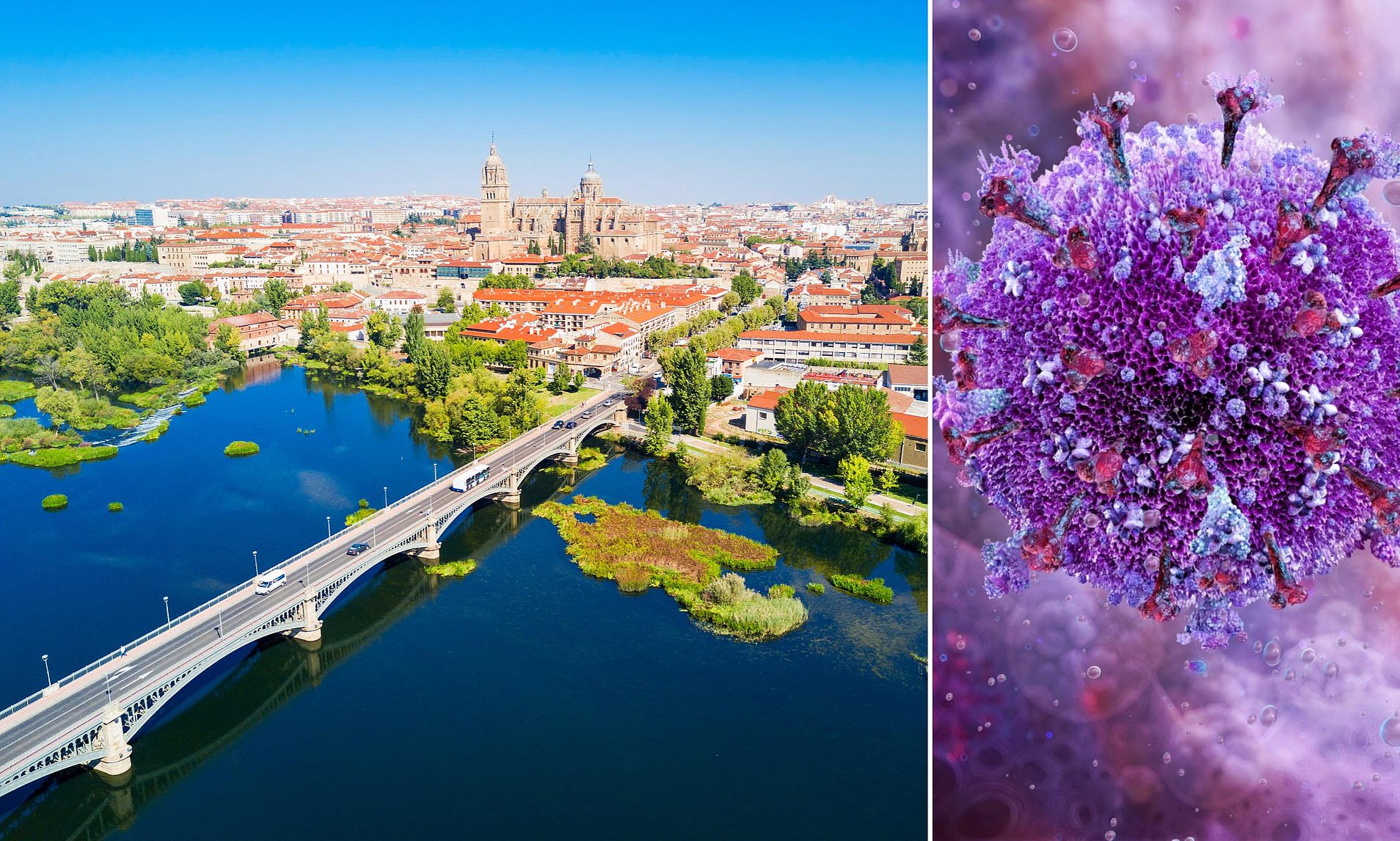 Virus which 'causes multiple organ failure' found at popular Spanish ...