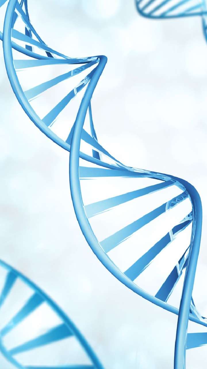 Why Some People Never Get Grey Hair?