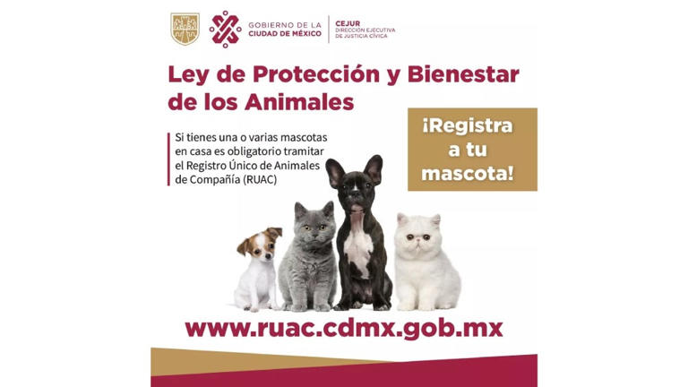 La Ley de Protección y el Bienestar de los Animales de la Ciudad de México, quienes no registren a sus mascotas pueden ser sancionados con una multa que va desde los 2 mil 375, hasta los 3 mil 394 pesos/Redes Sociales 
