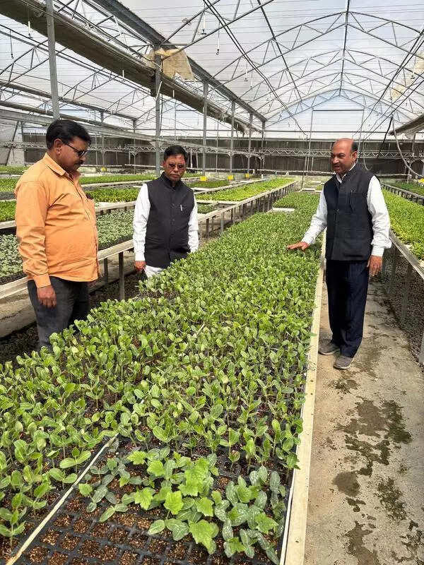 Uttar Pradesh Bolsters Farming Future with Centres of Excellence backed by international expertise