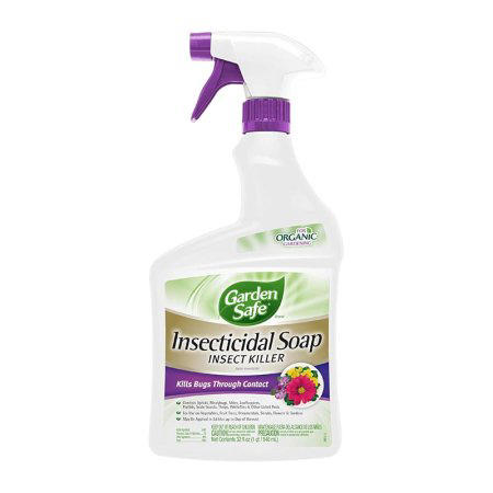 These Insecticides for Aphids Are an Effective Last Line of Defense