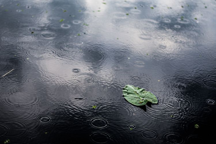 BMKG: Heavy Rain and Strong Wind Forecast in Some Areas on July 6-7, 2025
