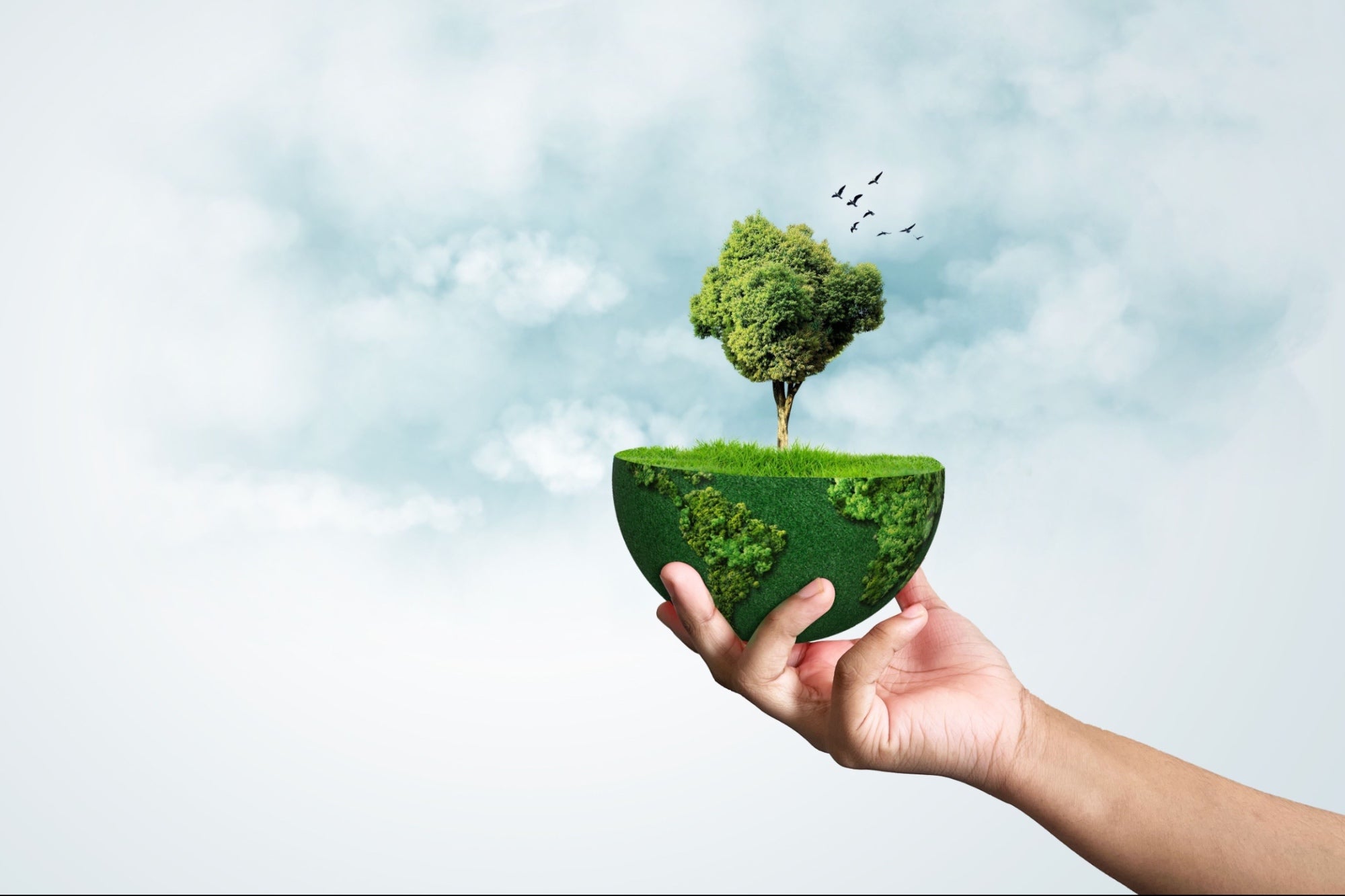 Why Sustainability Matters: A Call to Action for a Better Future