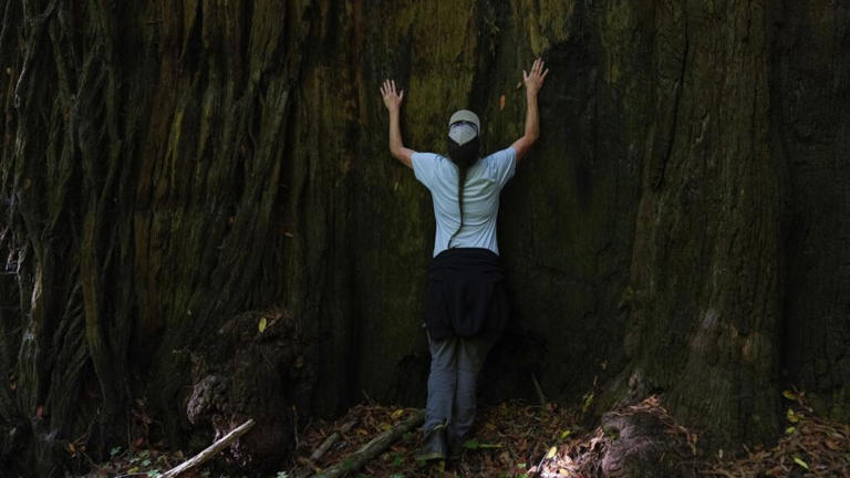 🌟The Bright Side: California's Yurok tribe reclaims ancestral homelands in major landback deal