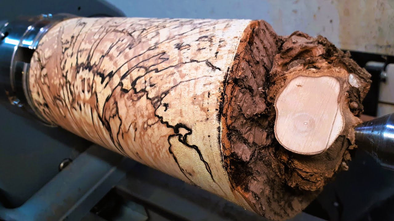 How a man used decaying wood and made it cool!