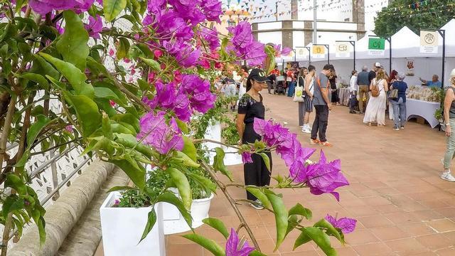 Arucas acogerá la 30 edición de la Feria Km.0 Gran Canaria
