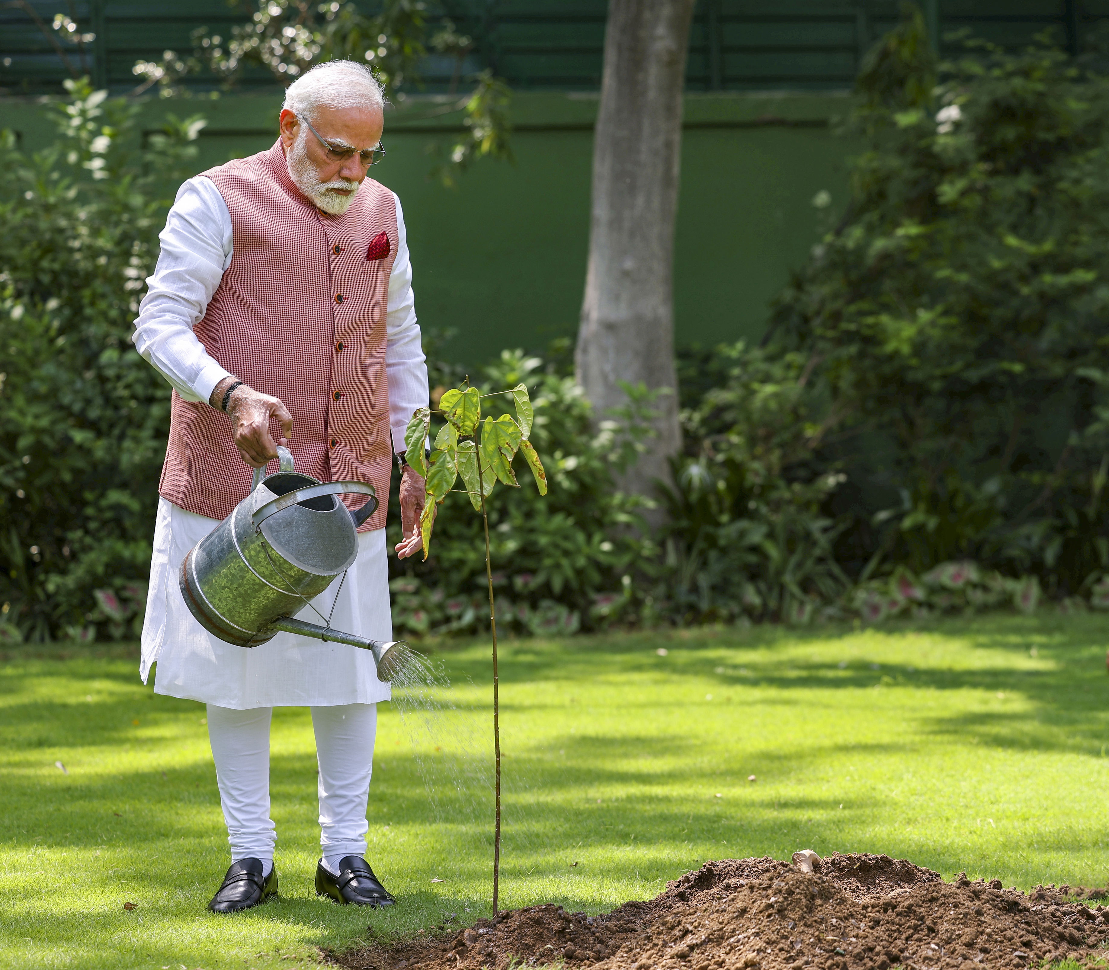 On World Environment Day, PM Modi launches reforestation effort to ...