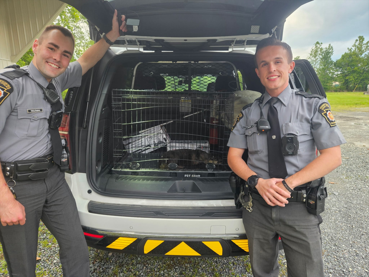 Pennsylvania State Police rescue injured otter in Franklin County