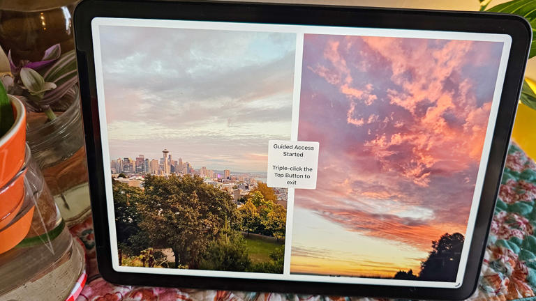 With your photo frame app open, triple click the iPad's top button to enable Guided Access.