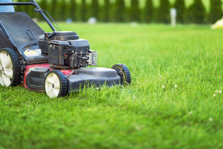 8 Smart Tips for Mowing New Sod Without Damaging It