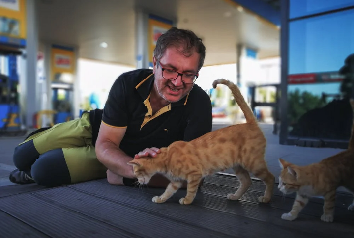 20 Common Mistakes New Cat Owners Make Without Realizing It