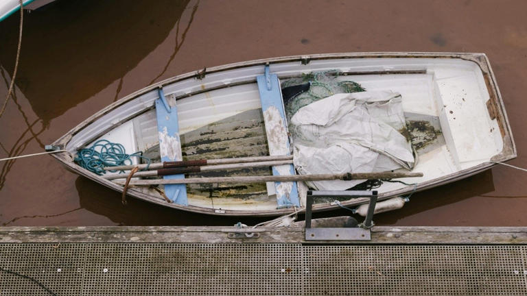 Detectan pesca ilegal durante operativo en San Felipe: embarcación ...