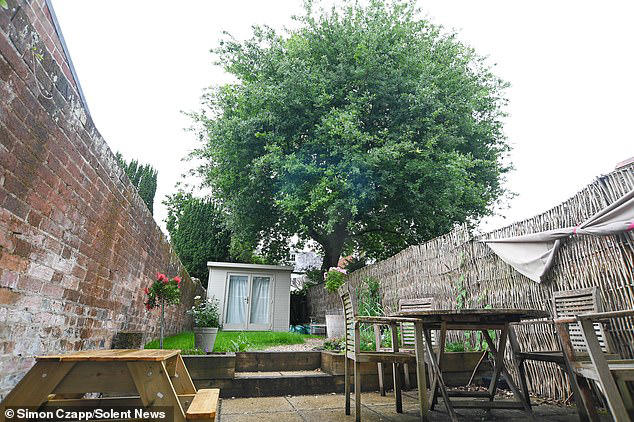 Fury as council bans homeowner from cutting down her 'Jack and the ...
