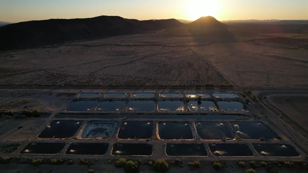 In Arizona Desert Fish Farms May Help Water Crops