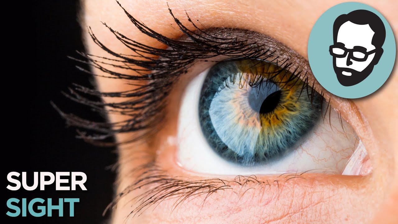 What If You Could See Every Color in the Universe?