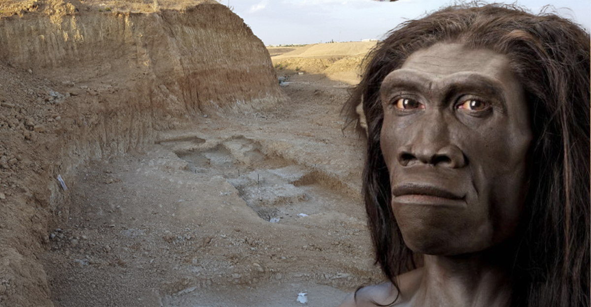 Scientists found 2.4-million-year-old stone tools in Algeria that ...