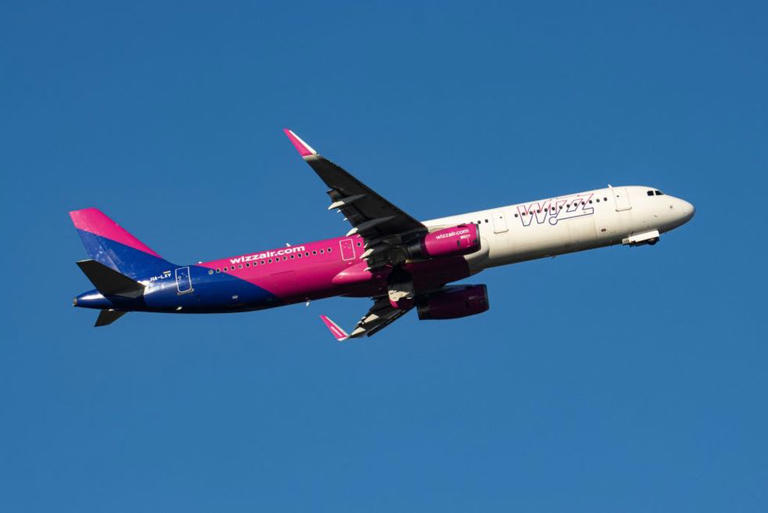 Wizz Air London-bound flight 'takes off without passengers' who were ...