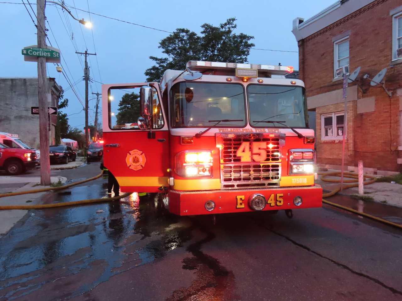 Woman Killed After Tree Falls On Car In Philadelphia: Officials