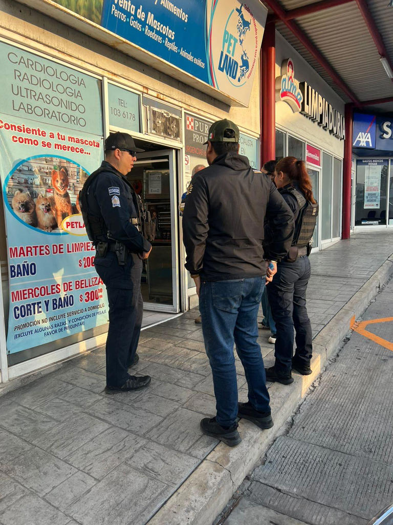 Tijuana Authorities Shut Down Illegal Pet Store