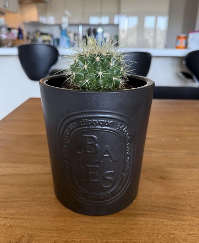 Homeowner shares clever method for making use of empty jar: 'That's a ...