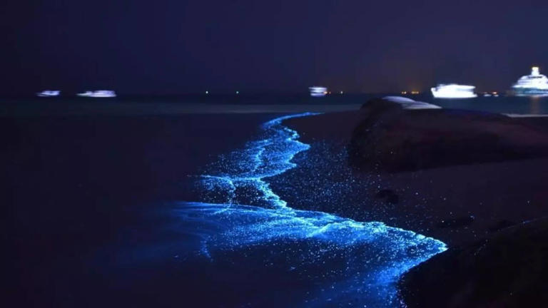 8 unbelievable spots around the world where you can witness glowing oceans