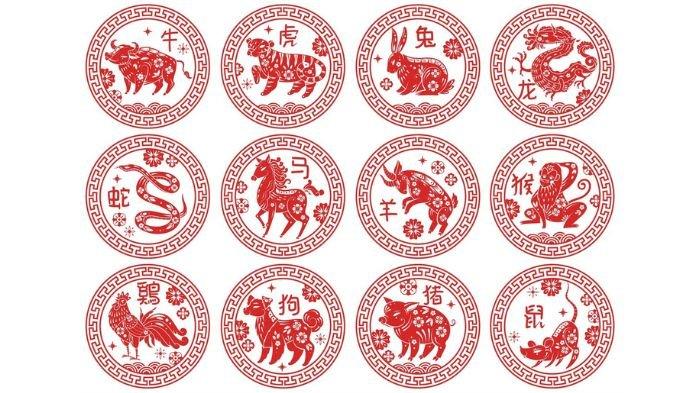 Ramalan Shio Hari Ini 16 Juli 2025,Shio Kelinci Mulai Bersinar