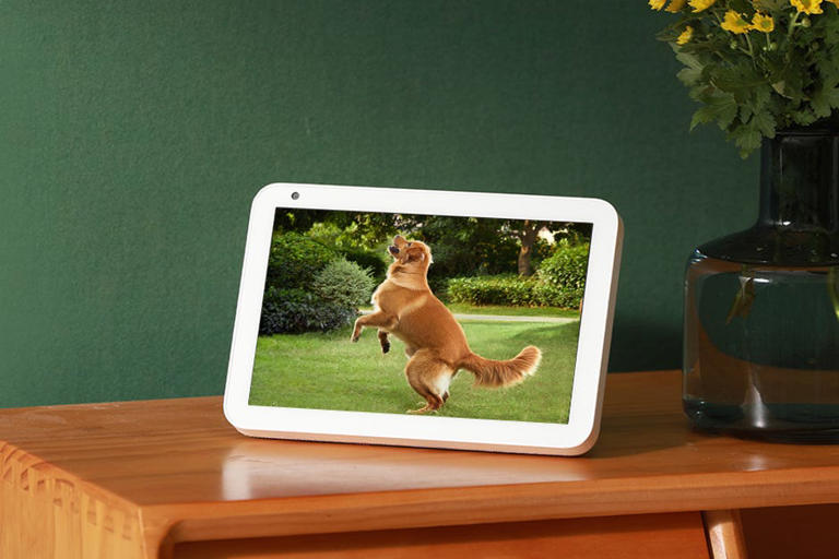 Echo Shows can link to video footage, but that's not usually true of the Alexa app itself. Eufy/Amazon