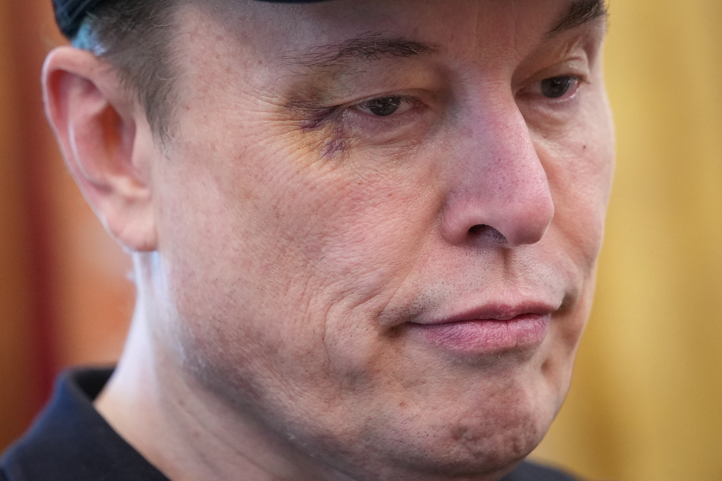 Here's Where Donald Trump And Elon Musk Reportedly Stand After Elon's