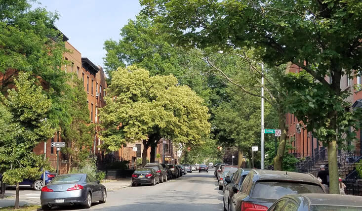 Letter of Recommendation: Citizen Pruners and Street Tree Stewardship