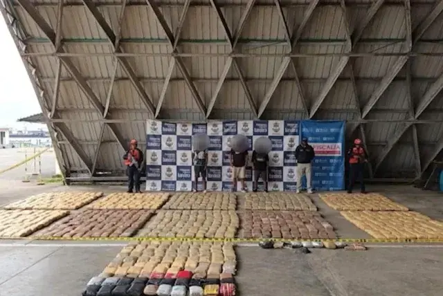 Más de 2.000 toneladas de estupefacientes han sido incautadas por las ...