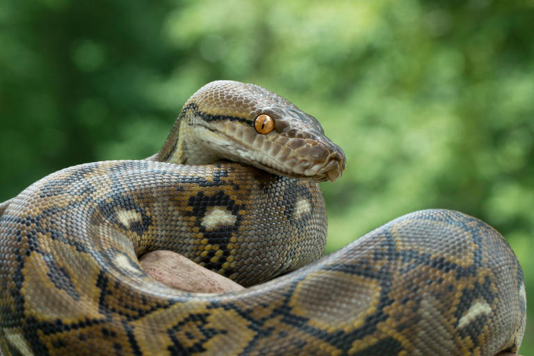 iStock-487506120.jpg