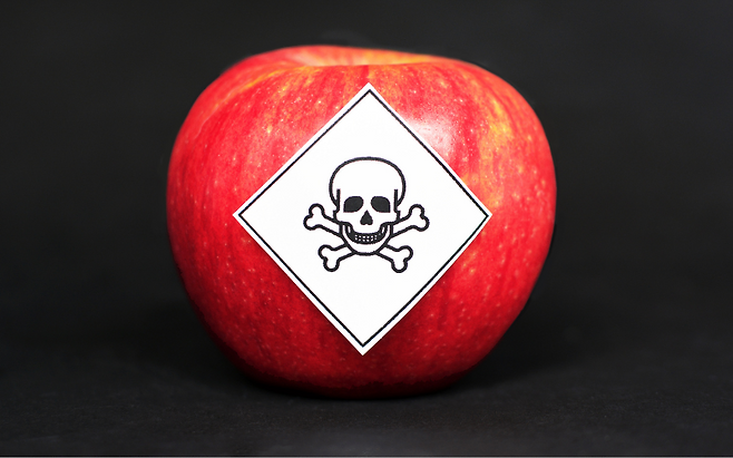 “하루만 지나도 독이 됩니다” 남기면 바로 버려야 할 음식 TOP3