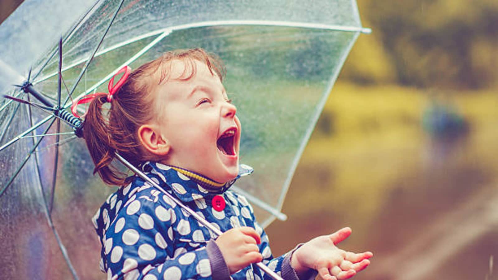 Madhya Pradesh Weather LATEST update: Heavy rain, thunderstorm alert ...