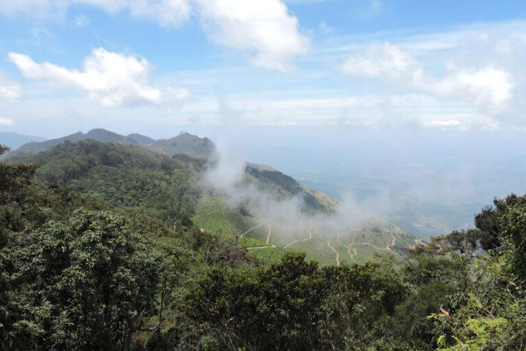 Mounting risks due to climate change threaten Sri Lanka’s endemic species