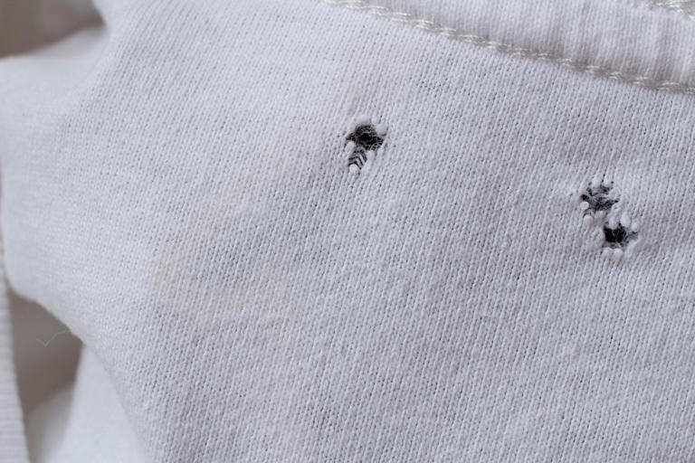 Wunderschne Kleine Lcher Im T Shirt Reparieren Ebenbild
