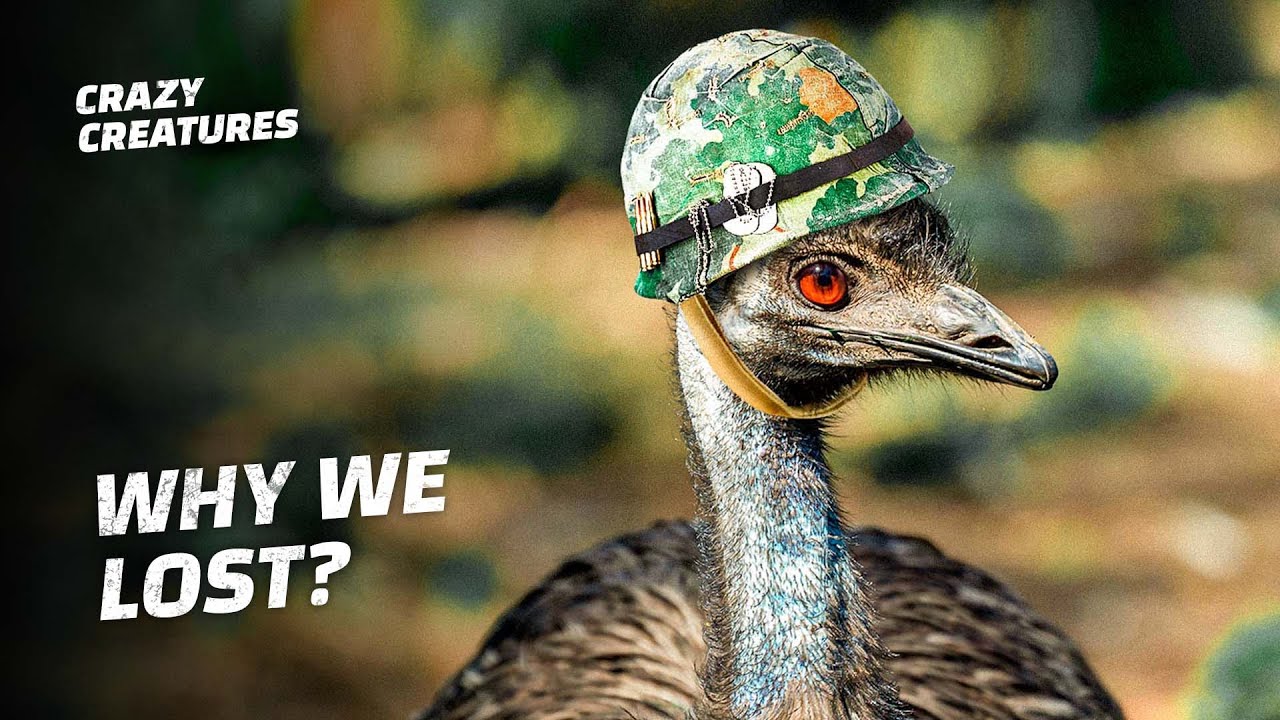 The Great Emu War | When Emus Defeated the Australian Army
