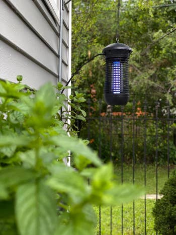 A bug zapper hangs off the side of a house