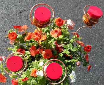 top down view of the hummingbird feeders in a pot of flowers