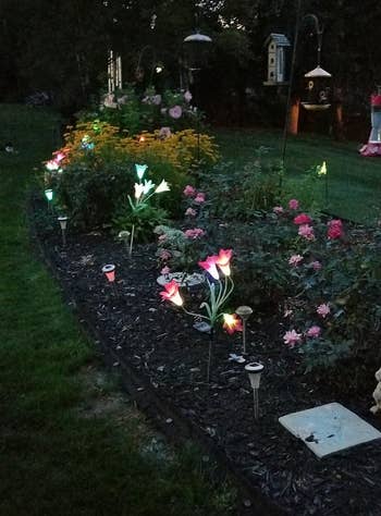the light up flowers stuck into a flower bed, starting to glow as night falls