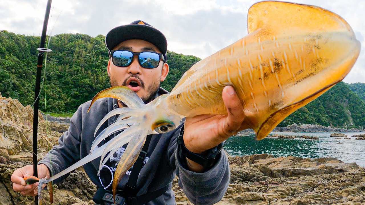 SQUID INK Catch and Cook