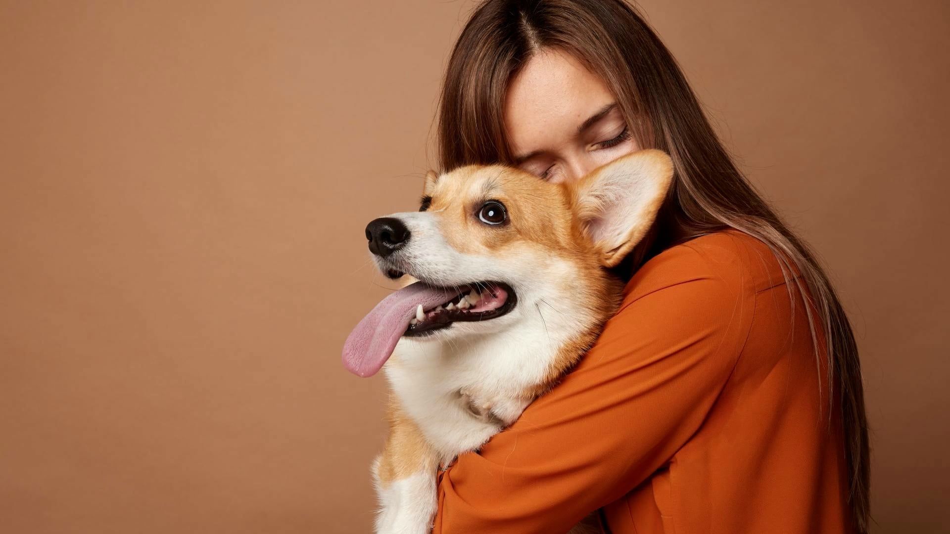 Stimmt es, dass Hunde und Besitzer sich ähnlich sehen? Die Wissenschaft ...