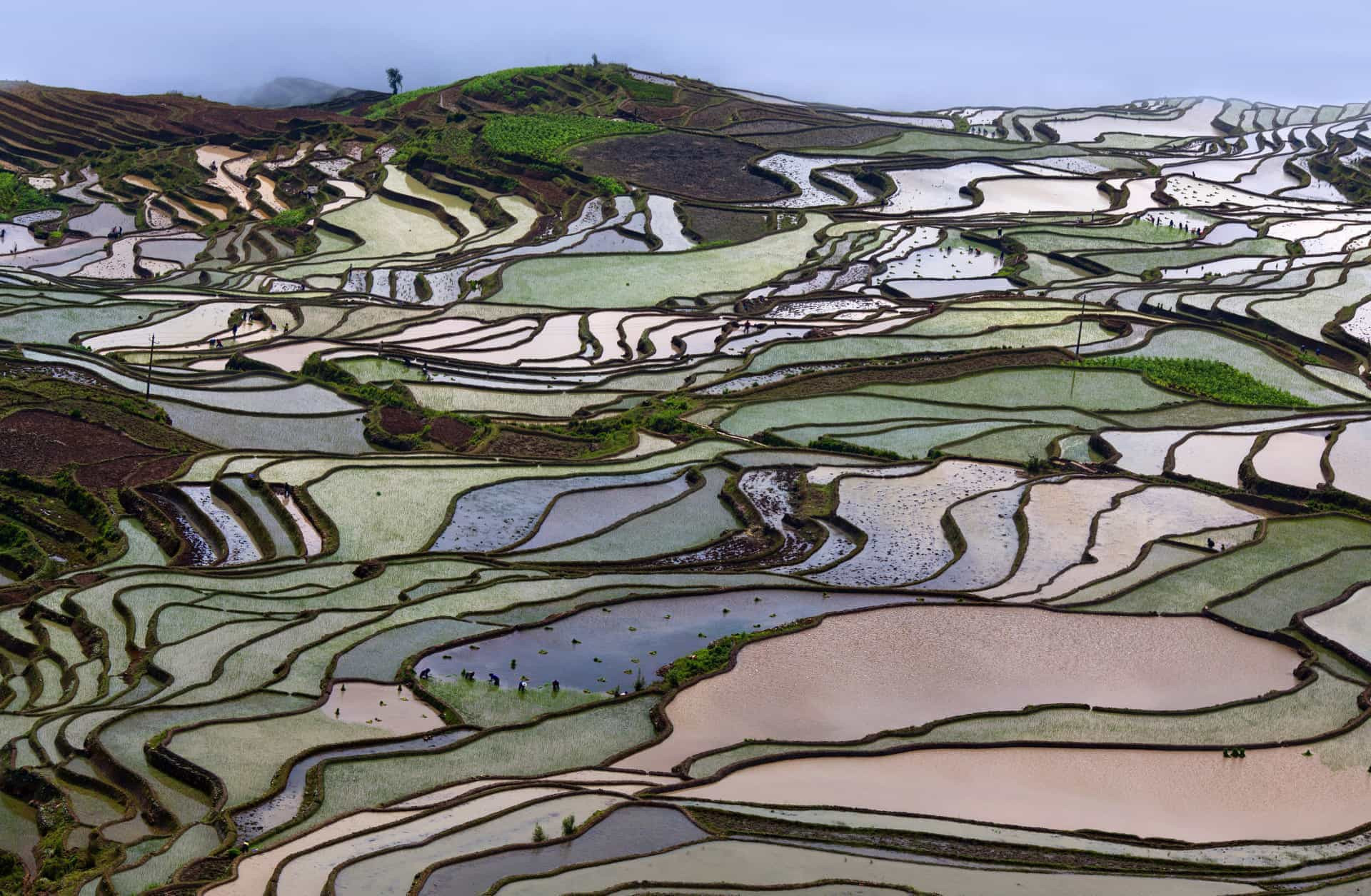Discover the landscapes of China