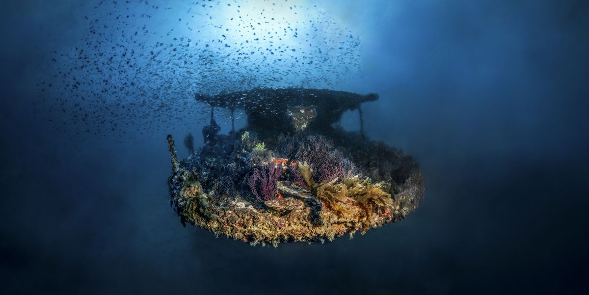 Navy researchers scanned the seafloor and tracked a ping. Then they found a staggering 500-year-old shipwreck<br><br>