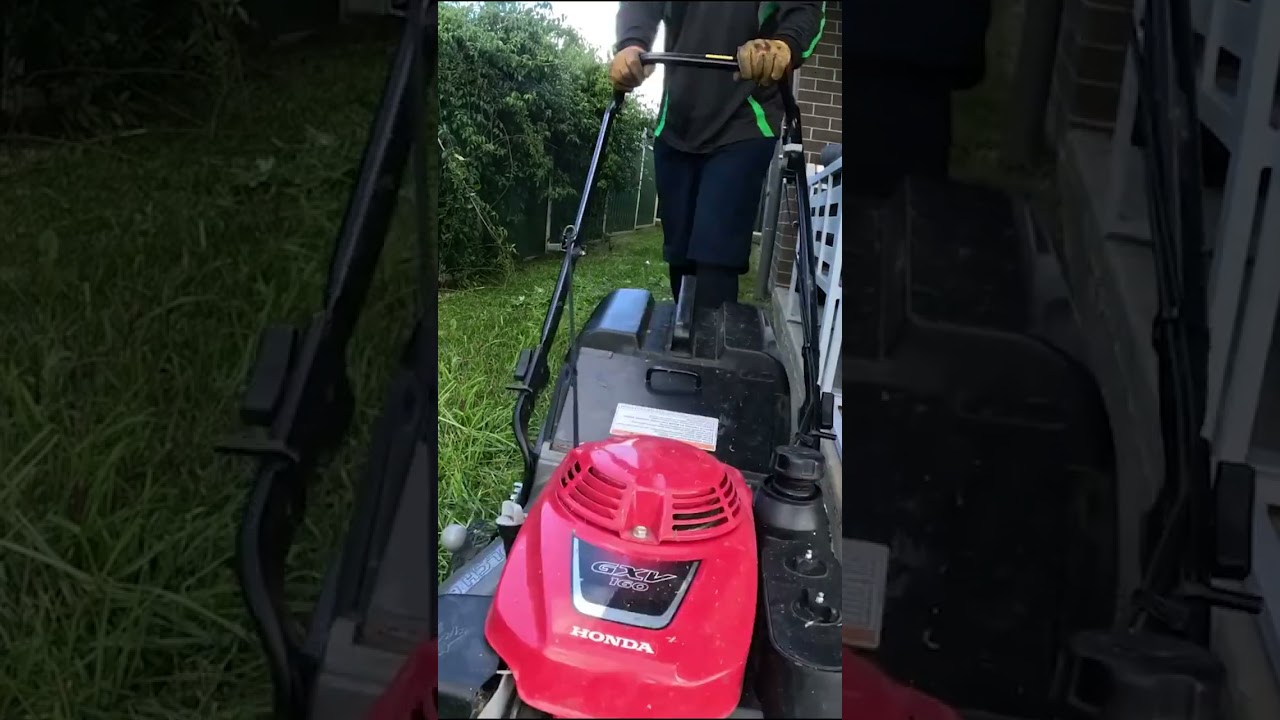 Tidying Up A Lush Lawn!