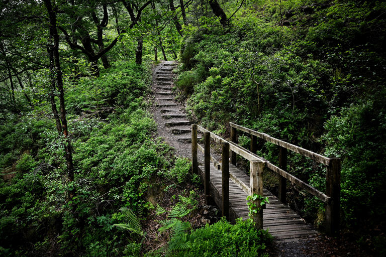 Étain à Souder SnCu3 Sans Plomb - Barres Triangulaires 100g à 1kg - Fabrication Allemagne