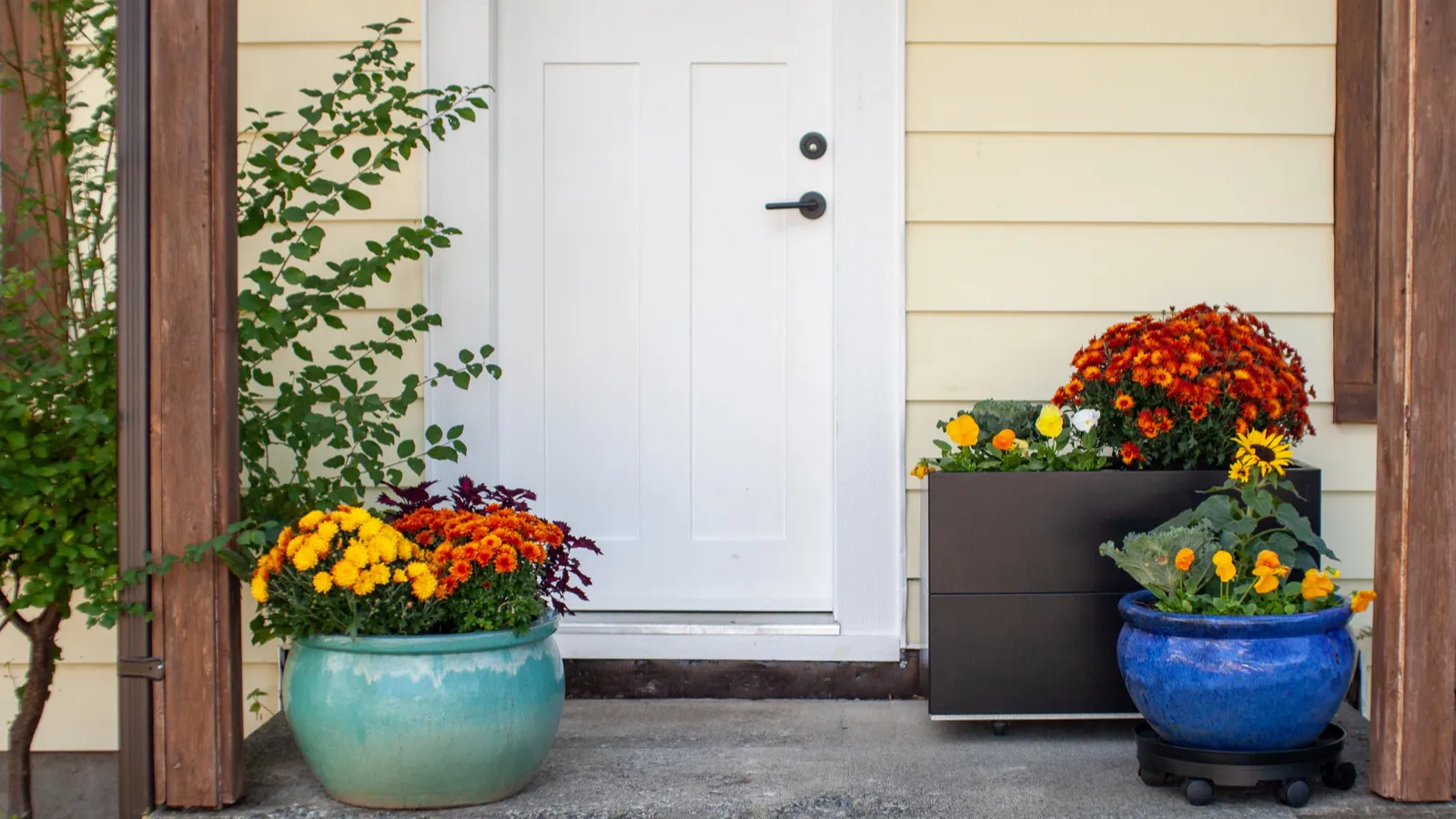 Celebrate National Pollinator Week With Porch Plant Combos That Please ...