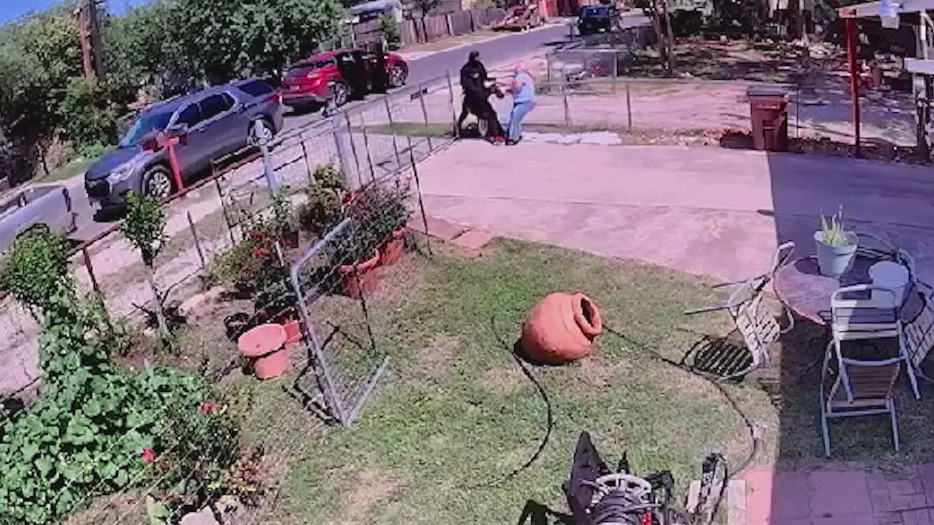 san-antonio-woman-credits-family-dog-for-scaring-off-masked-attackers