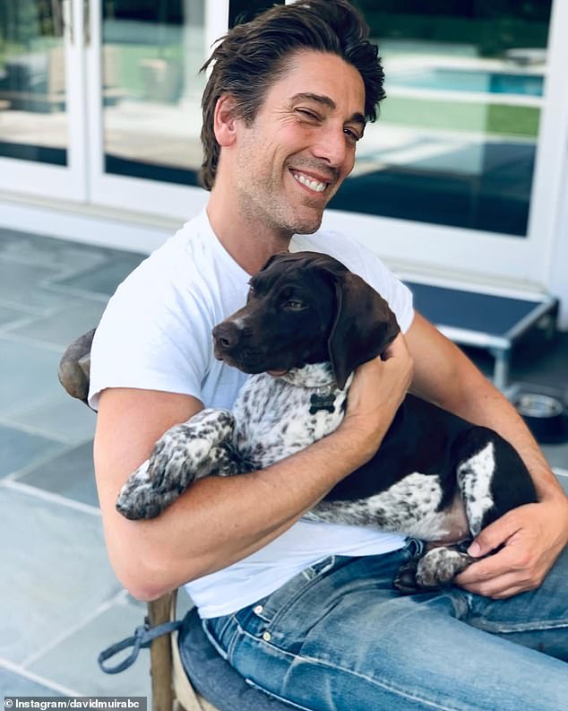ABC anchor David Muir recently gave fans a rare glimpse inside his jaw-dropping, $7.5 million New York City townhouse thanks to one special companion: his dog, Axel