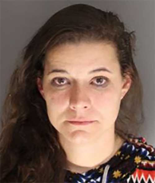 drunk driver slams into patrol car during traffic stop in moncks corner